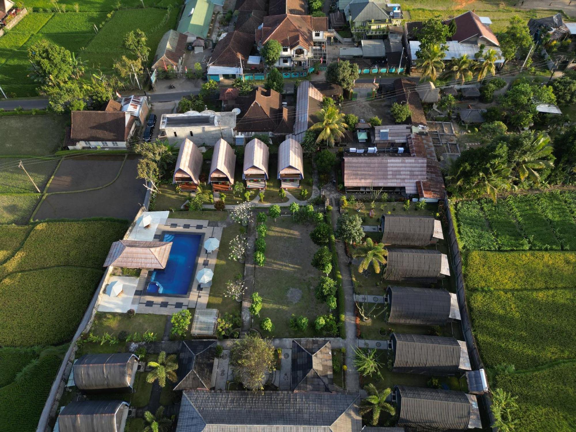 Green Orry Inn Tetebatu Exteriör bild